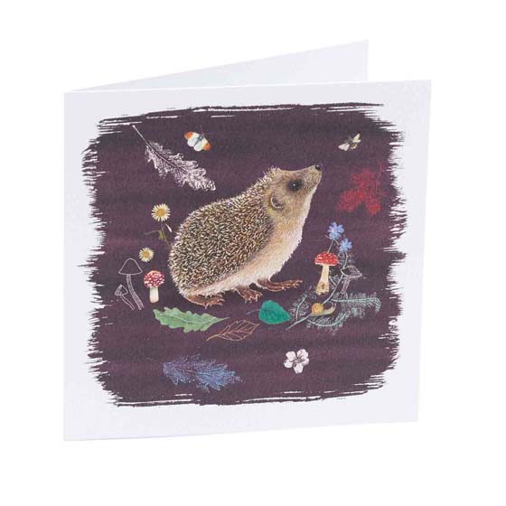 RSPB Hedgehog notecards, pack of 10 - Beyond the hedgerow collection product photo back L