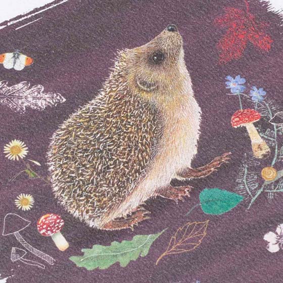 RSPB Hedgehog notecards, pack of 10 - Beyond the hedgerow collection product photo front L