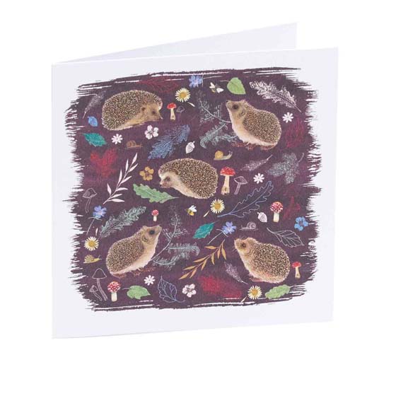 RSPB Hedgehog notecards, pack of 10 - Beyond the hedgerow collection product photo ai5 L