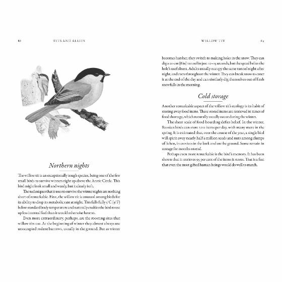 The hidden life of garden birds by Dominic Couzens product photo back L