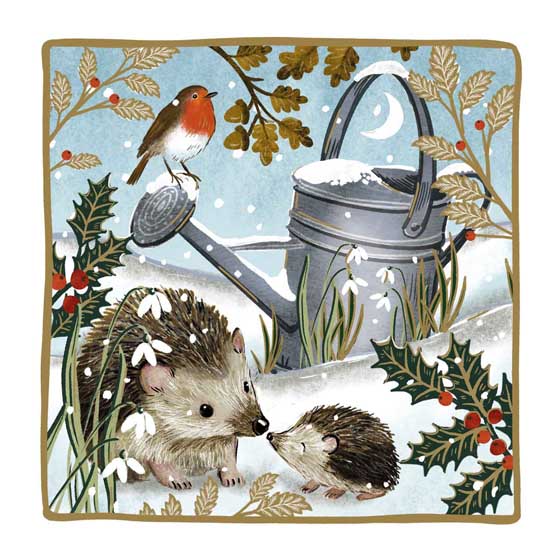 Hoglet's first Christmas Christmas cards, pack of 10 product photo default L