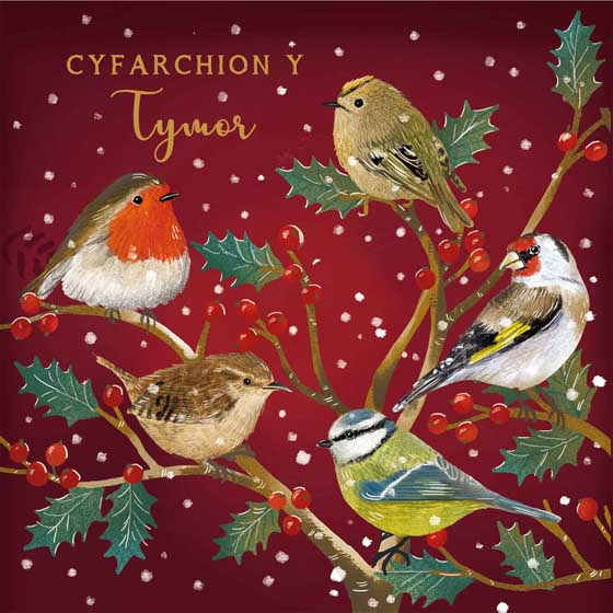 Holly garden birds Welsh Christmas cards, pack of 10 product photo default L