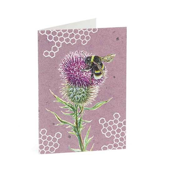 RSPB In the wild mini bee notecards pack product photo back L