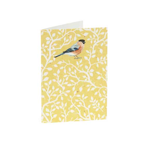 RSPB In the wild bullfinch mini notecards pack product photo back L