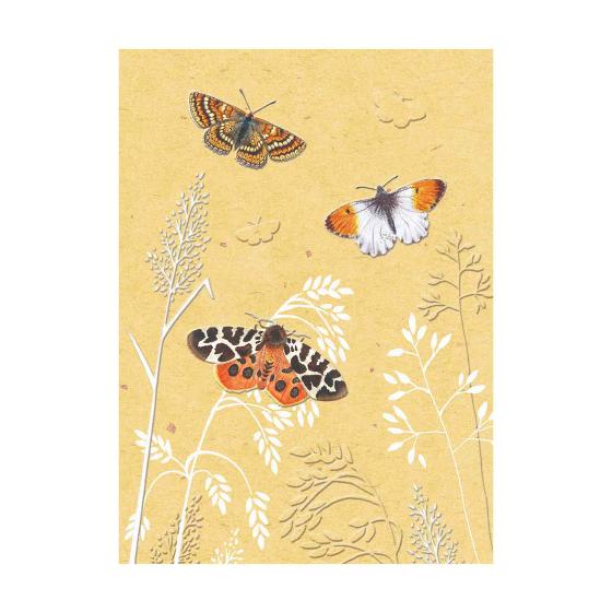 RSPB In the wild butterflies greetings card product photo default L