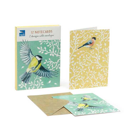 In the wild great tit & bullfinch bird notecards pack product photo side L