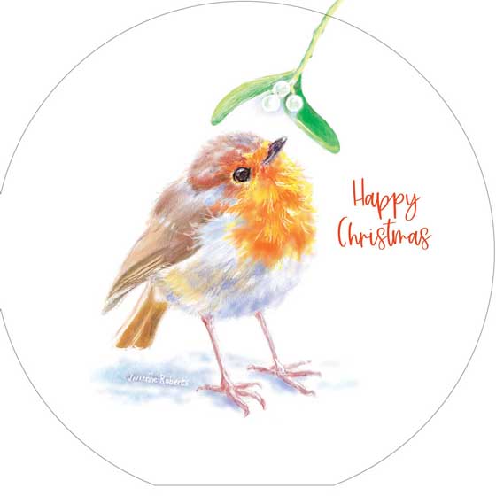 Inquisitive robins Christmas cards, pack of 10 (2 designs) product photo side L