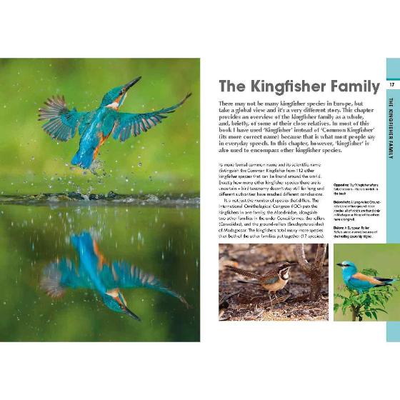 RSPB Spotlight kingfishers product photo front L