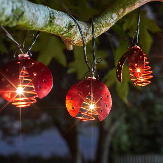 Ladybird solar string lights product photo default L