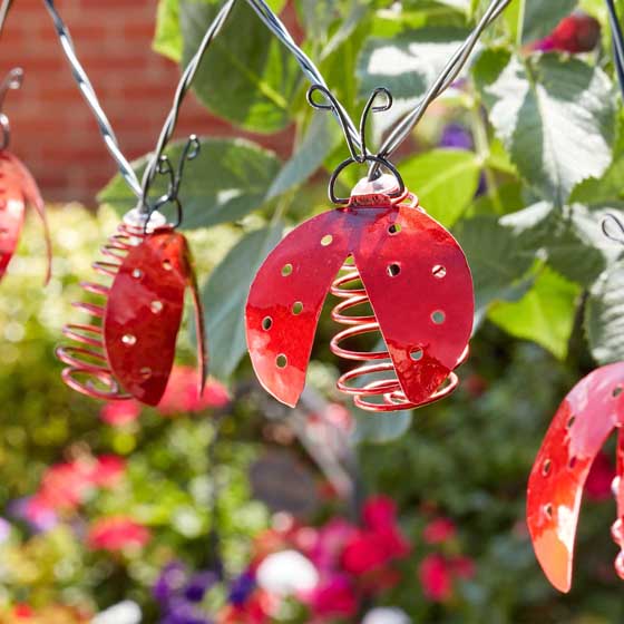 Ladybird solar string lights product photo back L