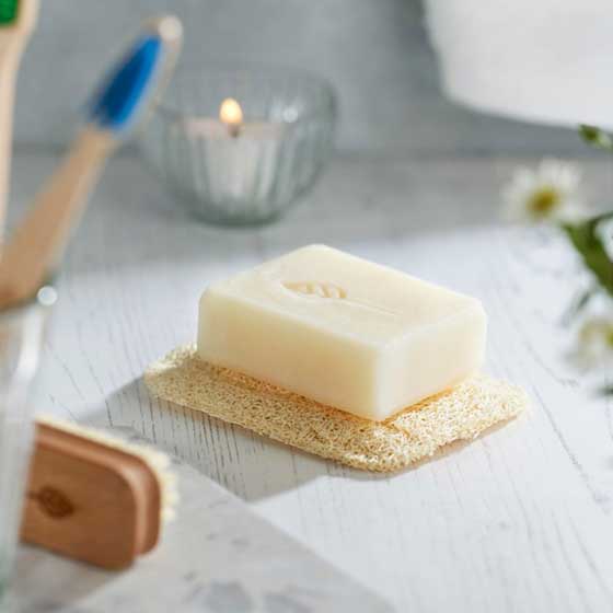 Loofah soap dish product photo side L