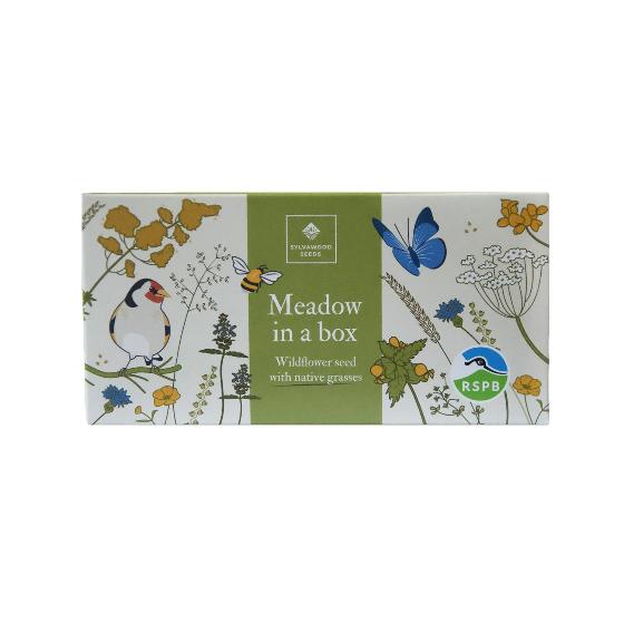 RSPB Mini meadow grass and wildflower seed box product photo default L