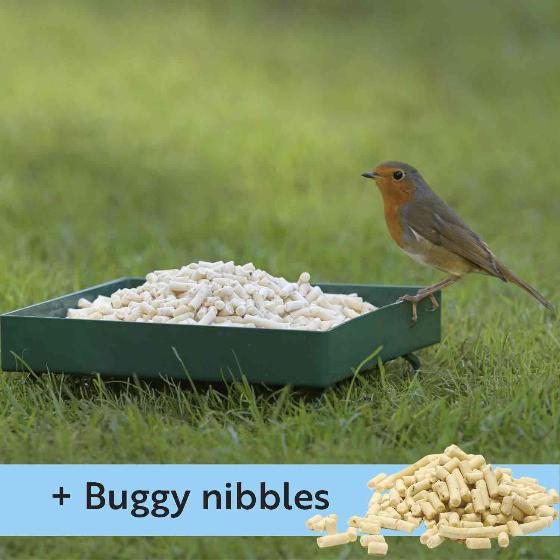 RSPB Metal ground feeder and buggy nibbles product photo default L