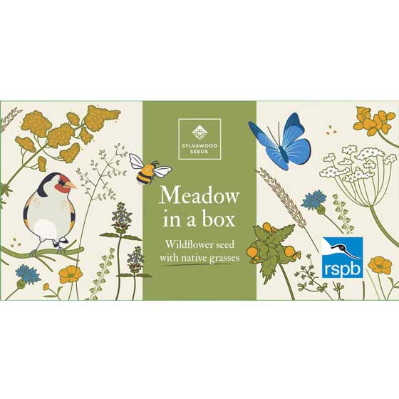 RSPB Mini meadow grass and wildflower seed box product photo default L