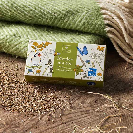 RSPB Mini meadow grass and wildflower seed box product photo side L