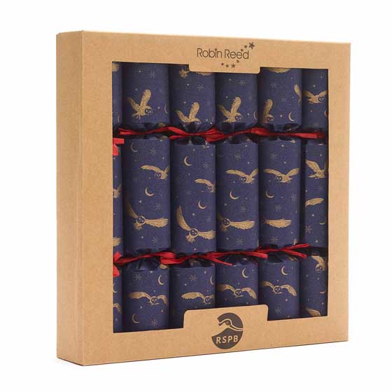 Moonlit owl recycled Christmas crackers with wooden tree decorations, 2 boxes of six product photo side L