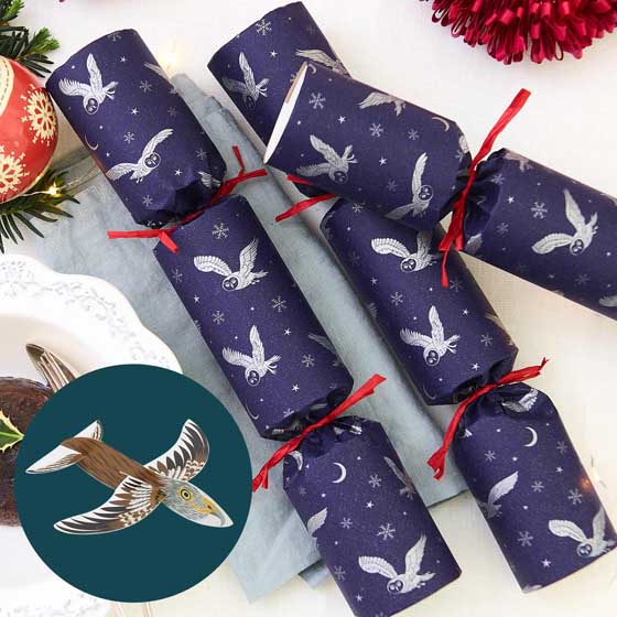 Moonlit Owl recycled crackers with glider toys, box of six product photo default L