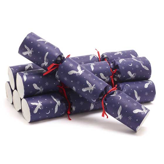 Moonlit Owl recycled crackers with glider toys, 2x boxes of six product photo front L