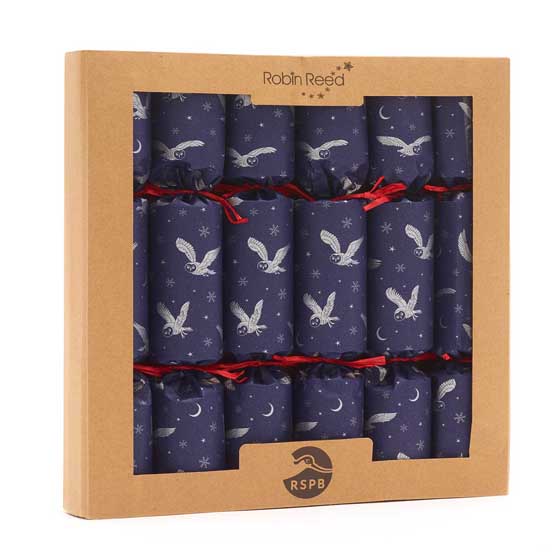 Moonlit Owl recycled crackers with glider toys, 2x boxes of six product photo ai5 L