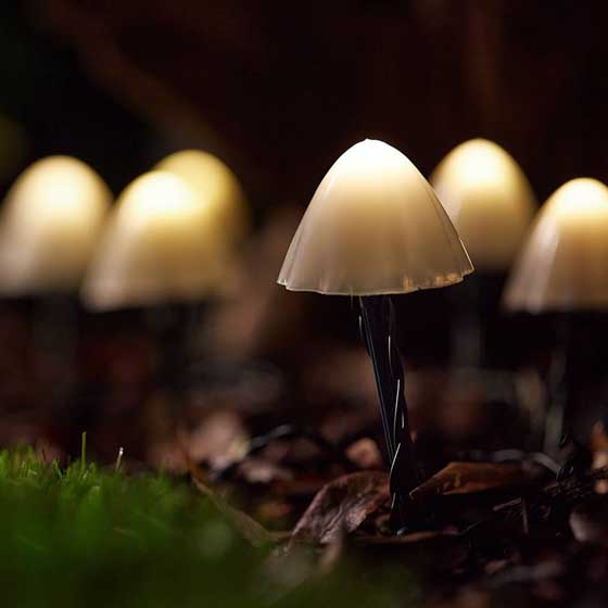 Mushroom solar lights, pack of 12 product photo side L