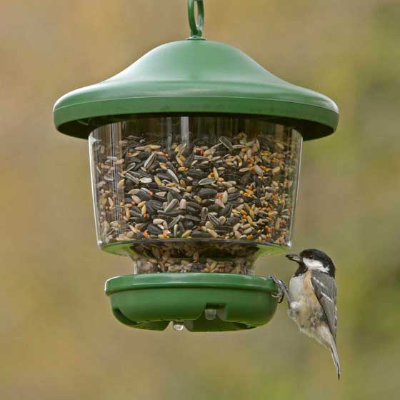 My Favourites hanging bird feeder and feeder mix 1.5kg product photo back L