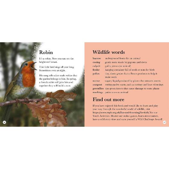RSPB My first book of garden wildlife product photo back L