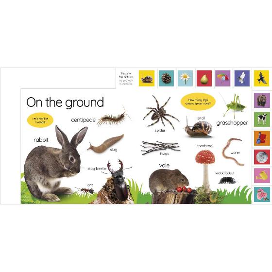 My first nature let's go exploring! board book product photo back L