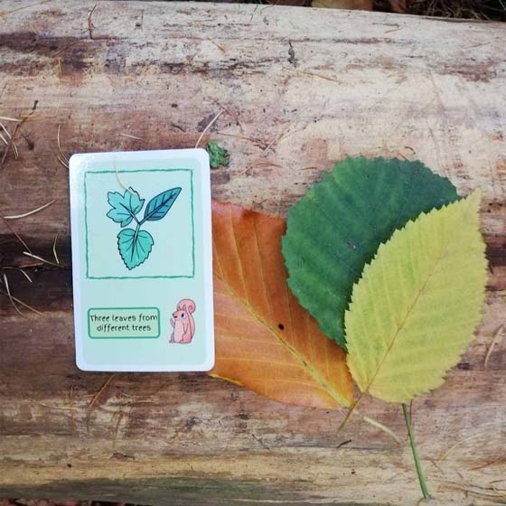 Nature scavenger hunt cards by Little Wood Walkers product photo back L