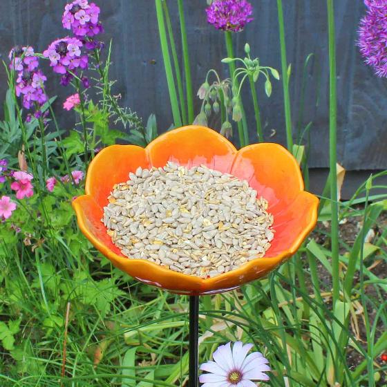 No-mess sunflower mix bird seed 1.8kg product photo side L