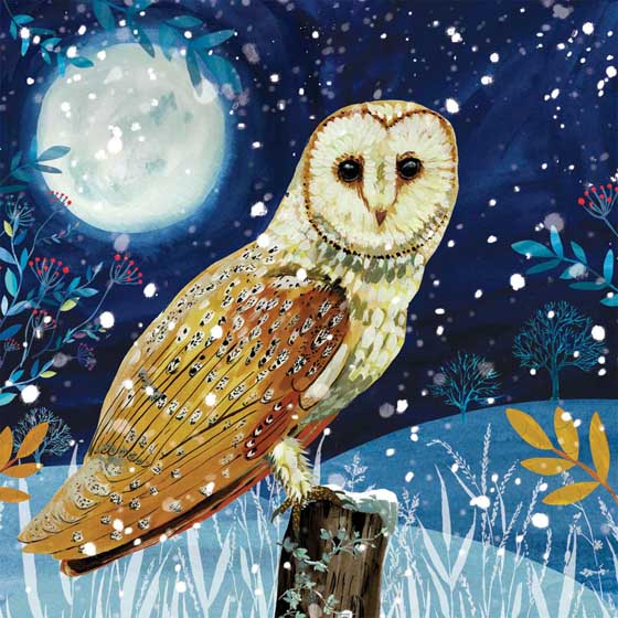 Owl Christmas cards, pack of 10 product photo default L