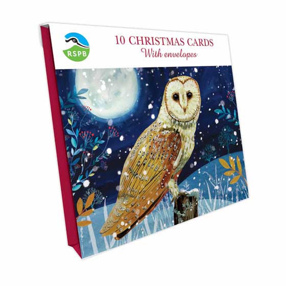 Owl Christmas cards, pack of 10 product photo side L