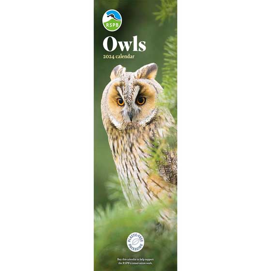 RSPB Owls calendar 2024 Calendars & diaries