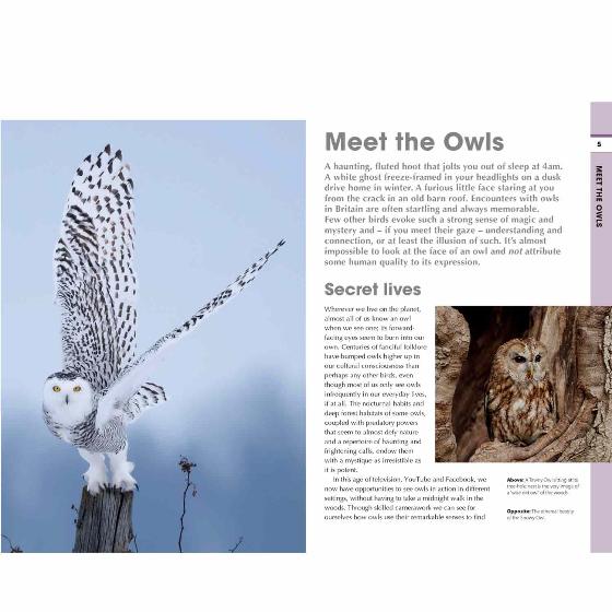 RSPB Spotlight owls product photo front L