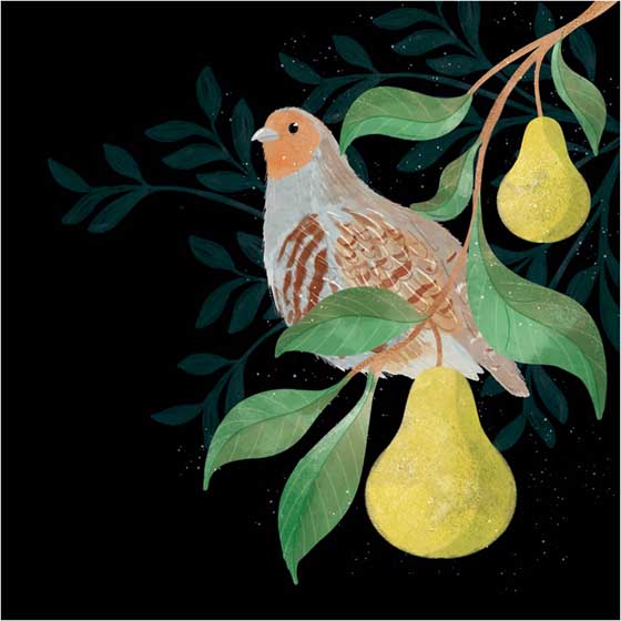 Partridge in a pear tree Christmas cards, pack of 10 product photo default L