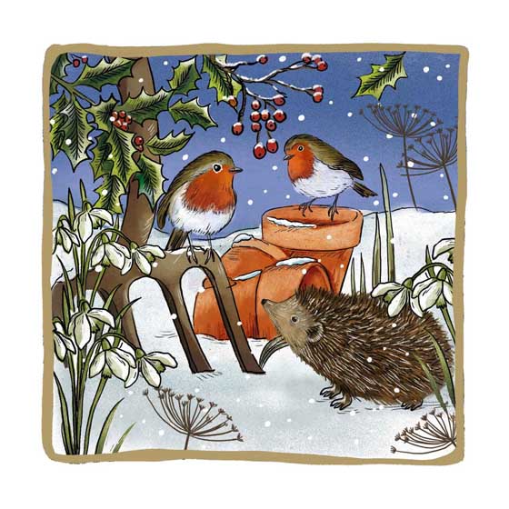 Prickly gathering Robins & Hedgehog Christmas cards, pack of 10 product photo default L