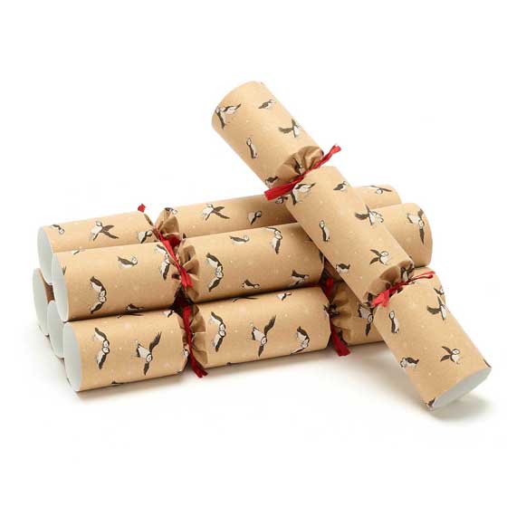 Puffin colony recycled Christmas crackers with toy gliders, two boxes of six product photo side L