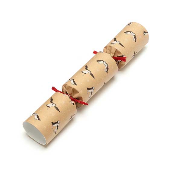 Puffin colony recycled Christmas crackers with toy gliders, two boxes of six product photo back L