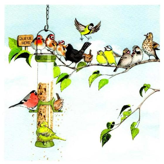 'Queue here' bird feeder greetings card product photo default L