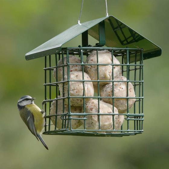 Dual suet feeder for fat balls & cakes product photo default L
