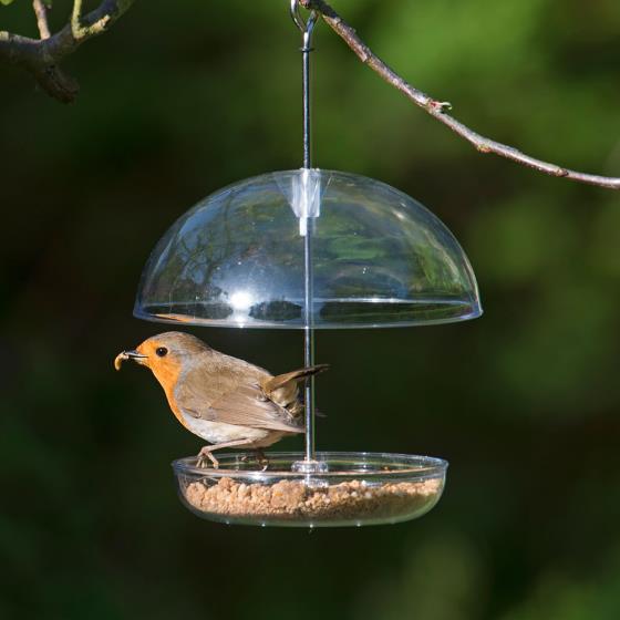 I Love Robins® pearl feeder product photo default L