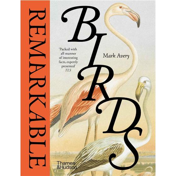 Remarkable birds by Mark Avery product photo default L