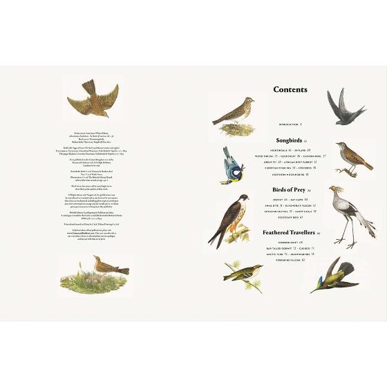 Remarkable birds by Mark Avery product photo side L
