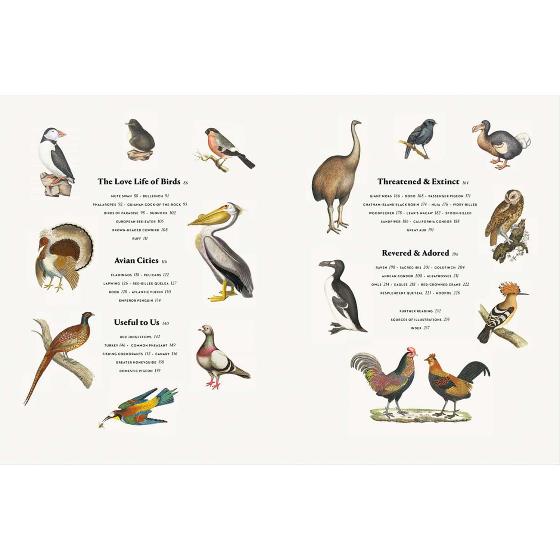 Remarkable birds by Mark Avery product photo back L