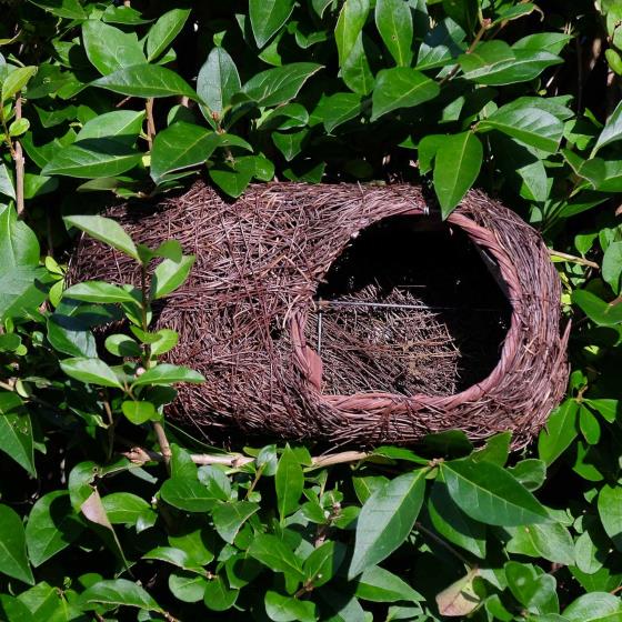 Robin brushwood nest product photo front L