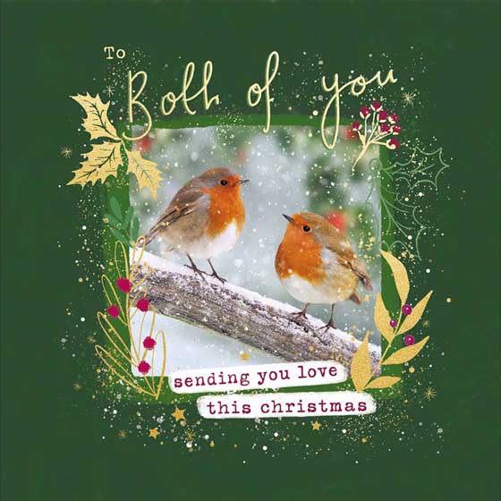 'To both of you' luxury Robin Christmas card, single product photo default L