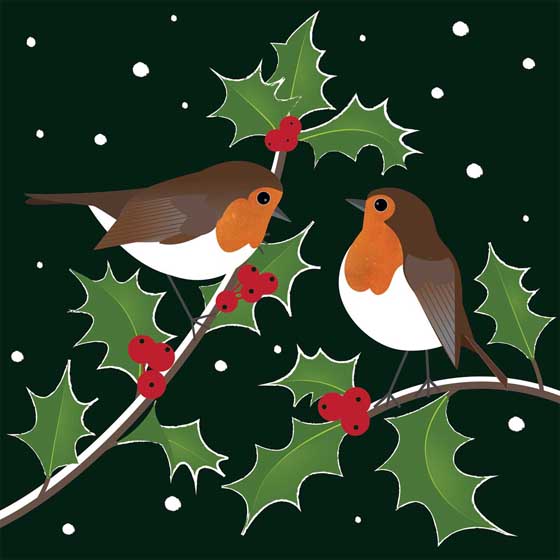 Robins and holly Christmas cards, pack of 10 product photo default L