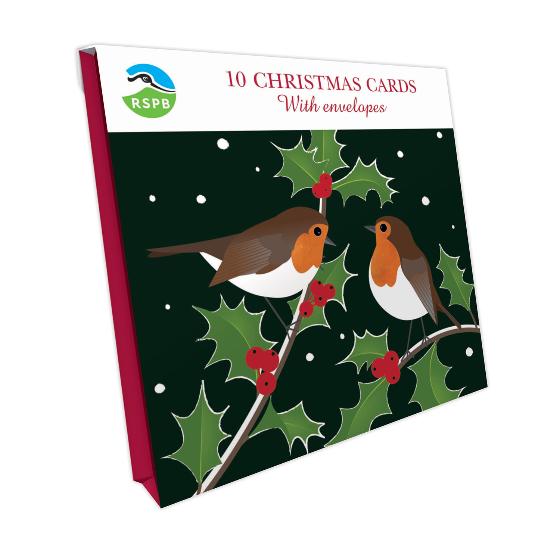 Robins and holly Christmas cards, pack of 10 product photo side L