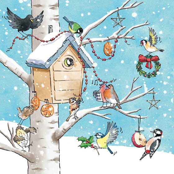 Rockin' around the RSPB Christmas cards, pack of 10 product photo default L