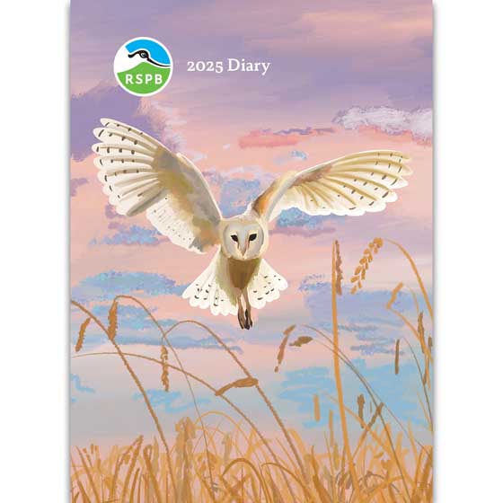 RSPB Illustrated birds diary 2025, A6 product photo default L