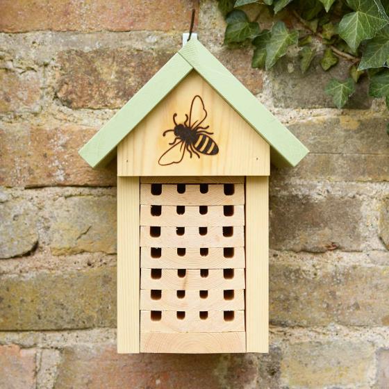 Solitary bee home product photo side L